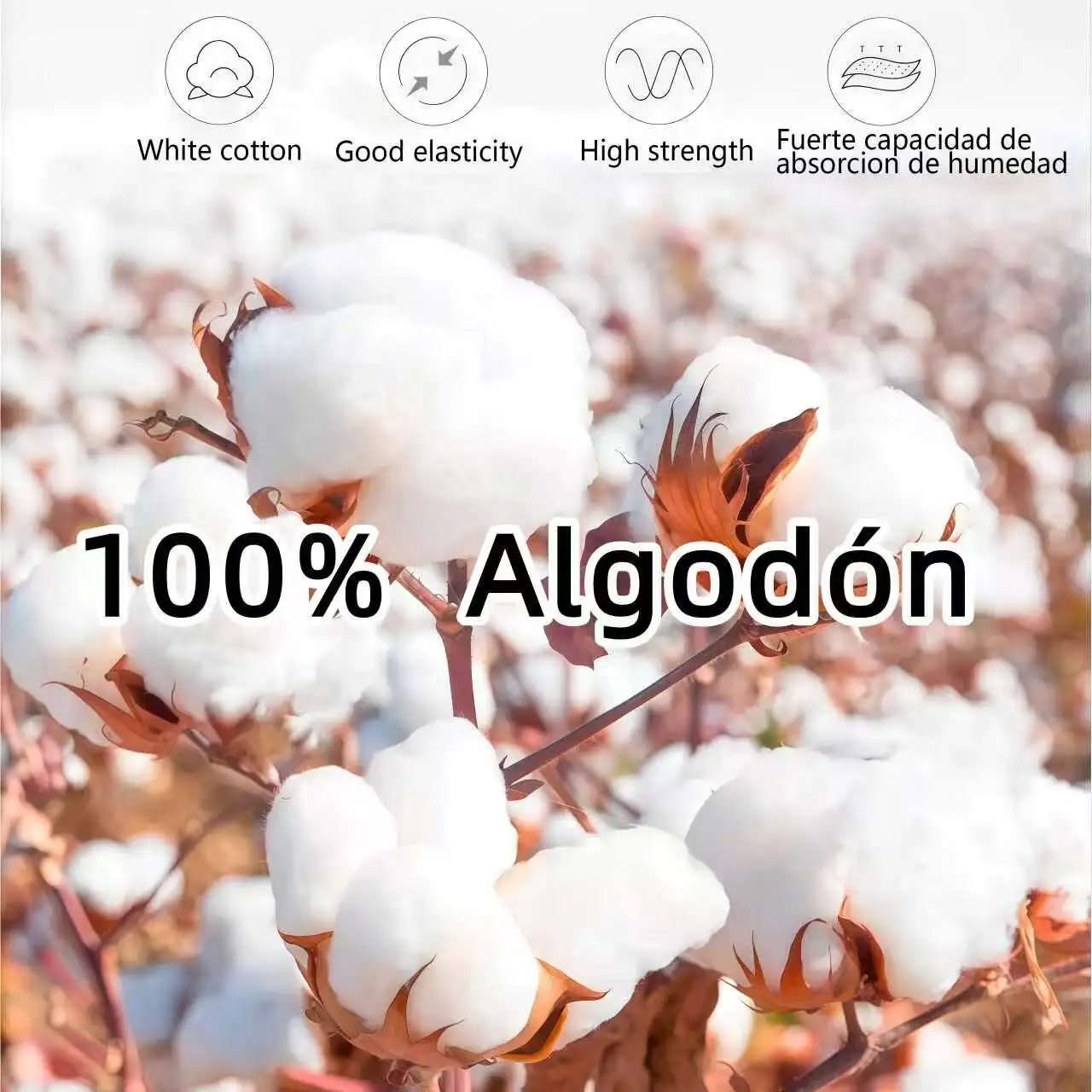 T-shirt de graduation en coton - Embroidery Cotton Shirt avis et prix